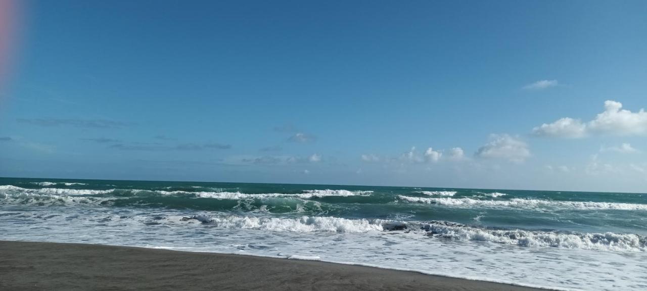 Opotiki - Waiotahe Drifts Beach Pod Exteriör bild