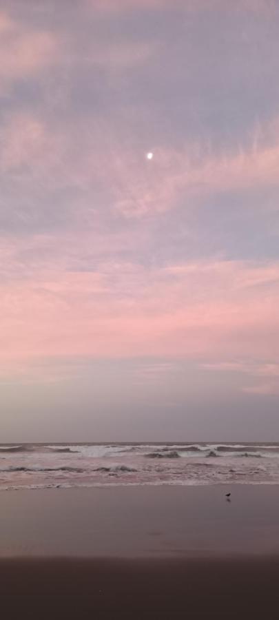 Opotiki - Waiotahe Drifts Beach Pod Exteriör bild